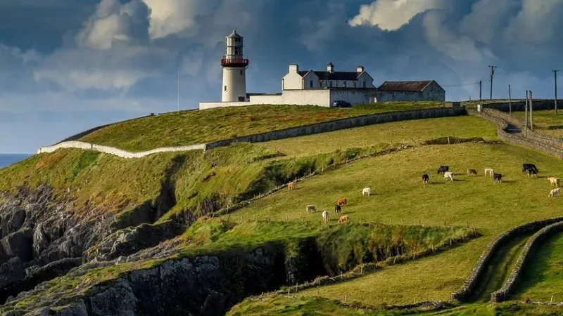 Британдық фермерлер тракторлармен митингілер өткізіп, нәтижесінде мұрагерлік салықтан босатылды