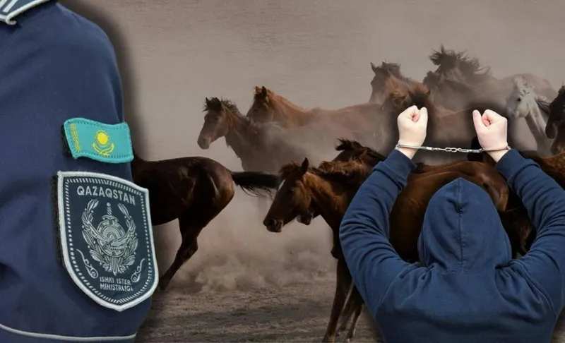 Жетісу облысында полицейлер мал ұрлығымен айналысқан күдіктілерді анықтады