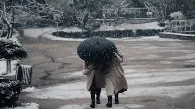 Ауа райы болжамы, қар, боран, 26 желтоқсан, Қазақстан, сурет - Zakon.kz жаңалық 25.12.2025 18:37