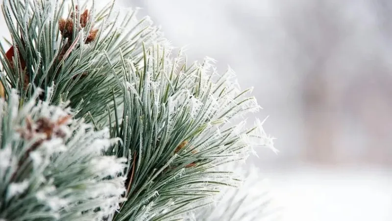 Қазақстанның басым бөлігінде аяз болады