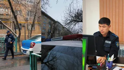 3 тағдырды құтқарған бейбіт күннің батыры