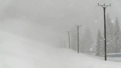 Боран, тұман, 29 желтоқсан, ауа райы болжамы, дауылды ескерту, Қазақстан, сурет - Zakon.kz жаңалық 28.12.2025 16:02