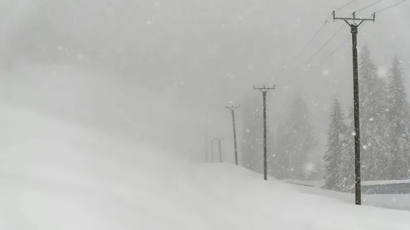 "Боран соғып, тұман болады". Дүйсенбіде еліміздің 16 өңірінде дауылды ескерту жарияланды