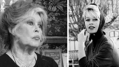 Брижит Бардо, Франция, актриса,, сурет - Zakon.kz жаңалық 28.12.2025 15:14