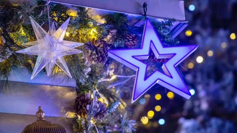 Желі арқылы жаңажылдық шырша сатып алмақ болған Қосшы тұрғыны алаяқтықтың құрбаны болды