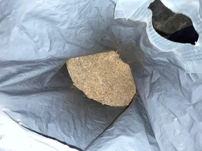 Павлодар облысында полицейлер автокөлік иесінен каннабис тәркіледі, сурет - Zakon.kz жаңалық 30.12.2025 22:13