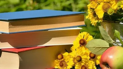 Бір жылда 120 кітап оқығанын мақтанып айтқан блогер көпшілік тарапынан ауыр сынға ұшырады, сурет - Zakon.kz жаңалық 30.12.2025 11:25