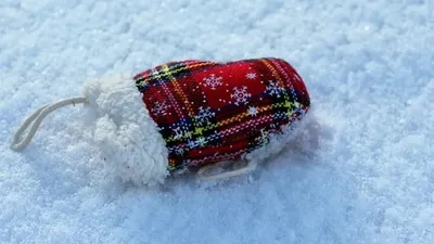 35°С-қа дейін аяз: Қазақстанда қаңтар айында ауа райы қандай болмақ, сурет - Zakon.kz жаңалық 31.12.2025 14:39