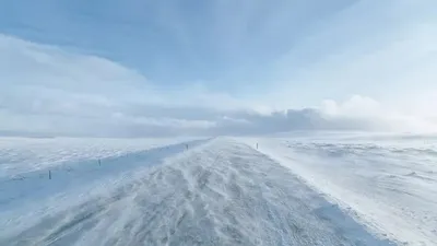 Қарағанды облысында қыстақтан шығып, қарлы боранда адасып кеткен екі адам аман-есен табылды