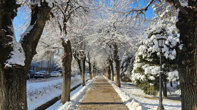 5 қаңтарда қай өңірлерде ауа райына байланысты ескерту жасады