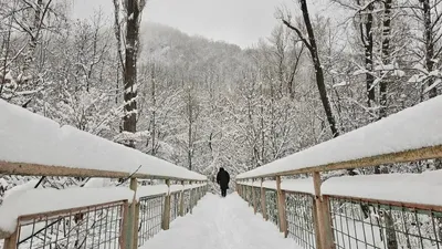 Қар, тұман, көктайғақ, 6 қаңтар, ауа райы болжамы, Қазақстан, сурет - Zakon.kz жаңалық 05.01.2026 17:44