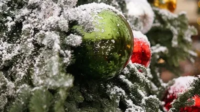 Шырша, Ақтөбе, алаяқтық, банктің топ-менеджері, жалған жарнама, сурет - Zakon.kz жаңалық 06.01.2026 18:01