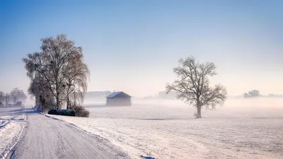 Тұман, боран, көктайғақ, 7 қаңтар, дауылды ескерту, ауа райы болжамы, Қазақстан, сурет - Zakon.kz жаңалық 06.01.2026 21:28