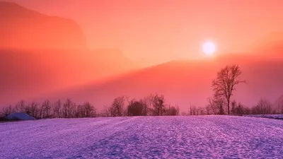 Қыс, ауа райы болжамы, 7 қаңтар, Қазақстан, сурет - Zakon.kz жаңалық 06.01.2026 17:35