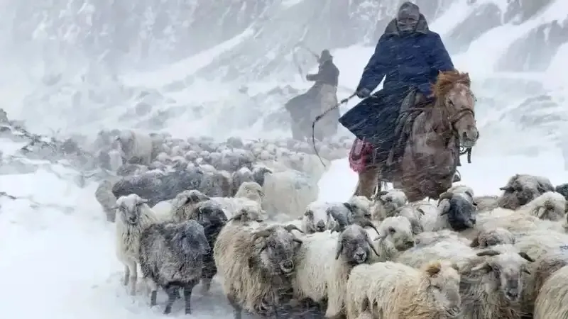 Ауылшаруашылығы министрлігінде малшыларды ерте зейнетке шығару мәселесі қаралды