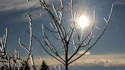 Қыстың беті қайтты ма? Синоптиктер 9 қаңтарға арналған ауа райы болжамын ұсынды, сурет - Zakon.kz жаңалық 08.01.2026 19:00