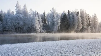 Браконьерлерге қарсы рейд төтенше жағдаймен аяқталды: инспекторлар мінген квадроцикл Жайық өзеніне батып кетті, сурет - Zakon.kz жаңалық 08.01.2026 09:52