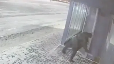 Астанада жылы аялдамаға зақым келтірген тұрғын анықталды, сурет - Zakon.kz жаңалық 08.01.2026 17:59