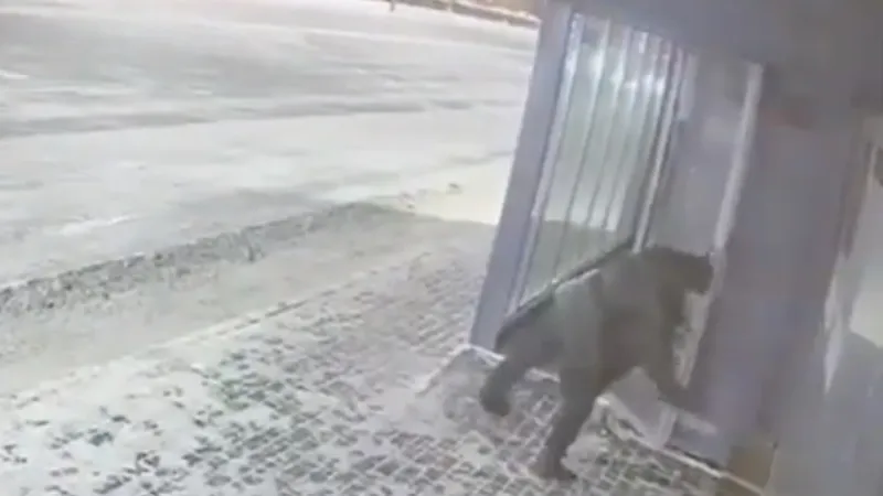 Астанада ер адам бөтелкемен жылы аялдаманың әйнегін сындырған