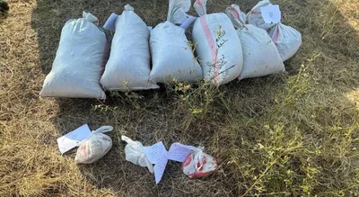 Көлік полицейлері есірткі жеткізу арнасын тоқтатты: ұсталғандарға сот үкімі шықты, сурет - Zakon.kz жаңалық 08.01.2026 18:40