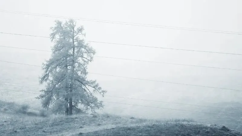 10 қаңтарда елдің қай өңірлерінде ауа райына байланысты ескерту жасалды