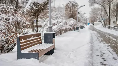 Аяз, боран, қар, 11 қаңтар, ауа райы болжамы, Қазақстан , сурет - Zakon.kz жаңалық 10.01.2026 14:15