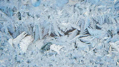 Қырау, аяз, ауа райы болжамы, 13 қаңтар, дауылды ескерту, Қазақстан, сурет - Zakon.kz жаңалық 12.01.2026 21:39