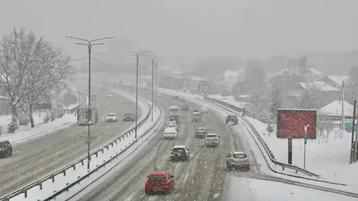 Көлік, жол, жалған нөмір, Бас көлік прокуратурасы, сурет - Zakon.kz жаңалық 12.01.2026 17:53