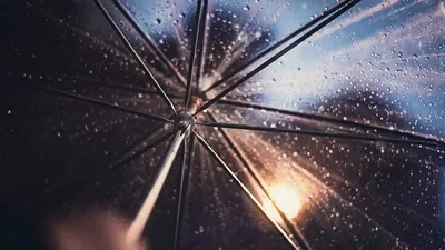 Жаңбыр, ауа райы болжамы, 14 қаңтар, Қазақстан, оңтүстік, батыс, сурет - Zakon.kz жаңалық 14.01.2026 17:58