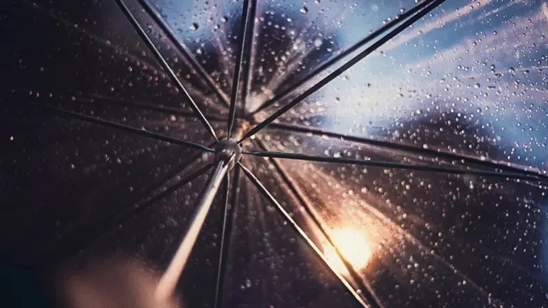 Қазақстанның оңтүстігі мен батысында 15 қаңтарда жел соғып, жаңбыр жауатыны болжанады