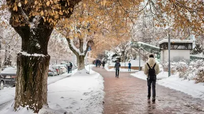 Көктайғақ, Атырау, мектеп, оқушылар, қашықтан оқыту , сурет - Zakon.kz жаңалық 14.01.2026 21:39