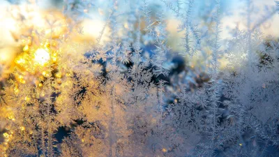 Қазақстанның бірнеше өңірінде 42 градусқа дейін аяз болады, сурет - Zakon.kz жаңалық 15.01.2026 17:15