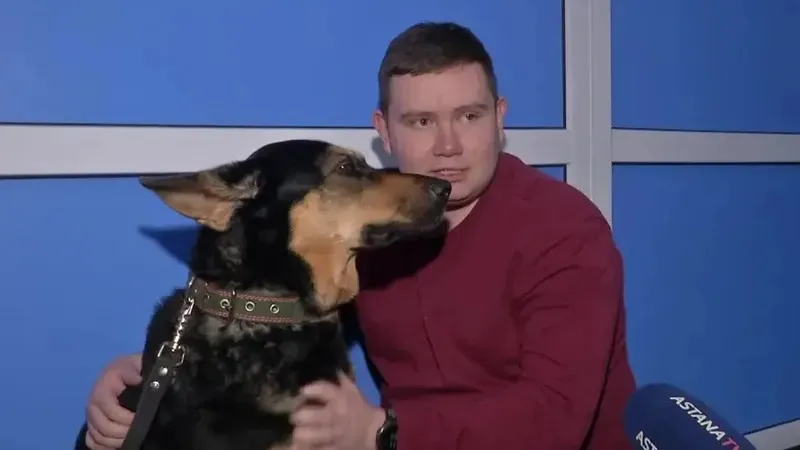 Қазақстанда алғаш рет итке жамбас-сан буынын ауыстыру отасы жасалды