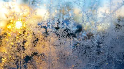 Аяз, боран, қар, 17 қаңтар, ауа райы болжамы, дауылды ескерту, сурет - Zakon.kz жаңалық 16.01.2026 21:22