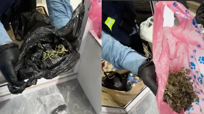 Елордада полиция есірткі саудасына тосқауыл қойды, сурет - Zakon.kz жаңалық 16.01.2026 13:17