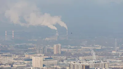 Тұмша: қай қалаларда серуендеуді шектеу керек, сурет - Zakon.kz жаңалық 18.01.2026 10:31