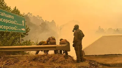 Чили отқа оранды, сурет - Zakon.kz жаңалық 19.01.2026 14:48