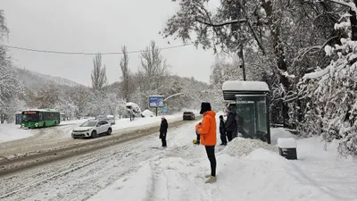 Алматыда және Алматы облысында аяздың беті қашан қайтады, сурет - Zakon.kz жаңалық 20.01.2026 18:20