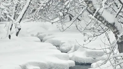 22 қаңтарда қай өңірлерде ауа райына байланысты ескерту жасалды, сурет - Zakon.kz жаңалық 22.01.2026 19:26