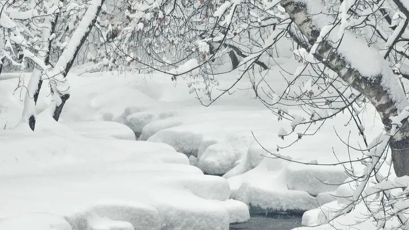 22 қаңтарда қай өңірлерде ауа райына байланысты ескерту жасалды