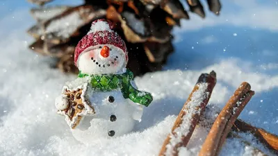 Алматыда қар мен аяз қаңтардың соңына дейін сақталады, сурет - Zakon.kz жаңалық 23.01.2026 18:40