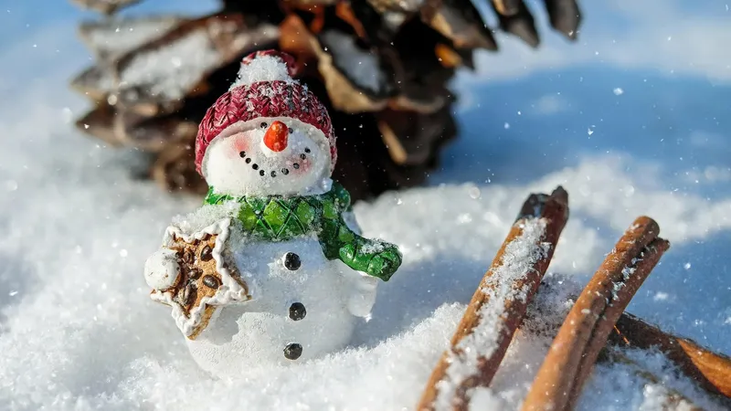 Алматыда қар мен аяз қаңтардың соңына дейін сақталады