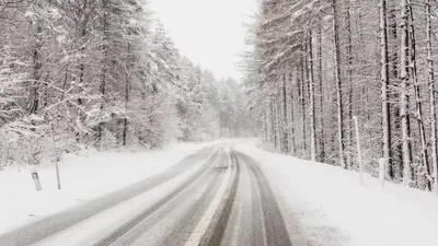 Қар, ауа райы болжамы, 25 қаңтар, Қазақстан, дауылды ескерту, сурет - Zakon.kz жаңалық 24.01.2026 17:27