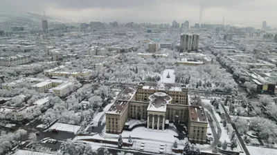 26 қаңтарда Қазақстанның басым бөлігінде қар жауып, боран соғады, сурет - Zakon.kz жаңалық 25.01.2026 16:02