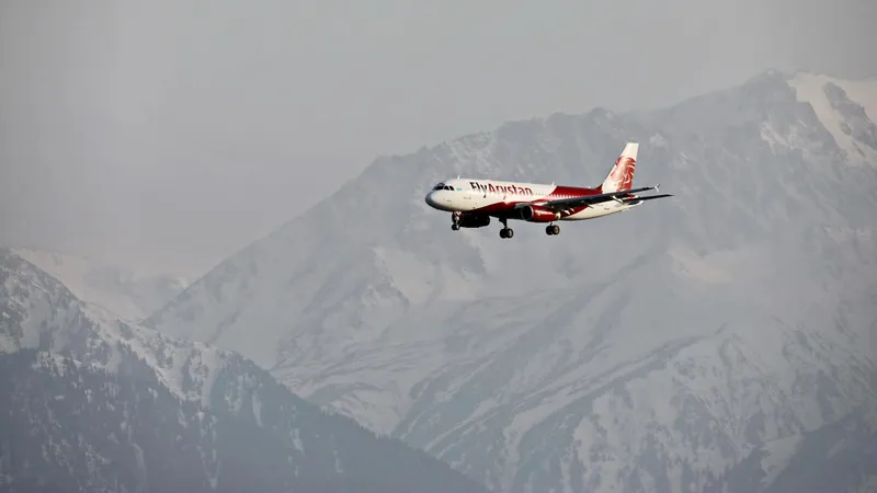 FlyArystan ұшағы құстармен соқтығысты