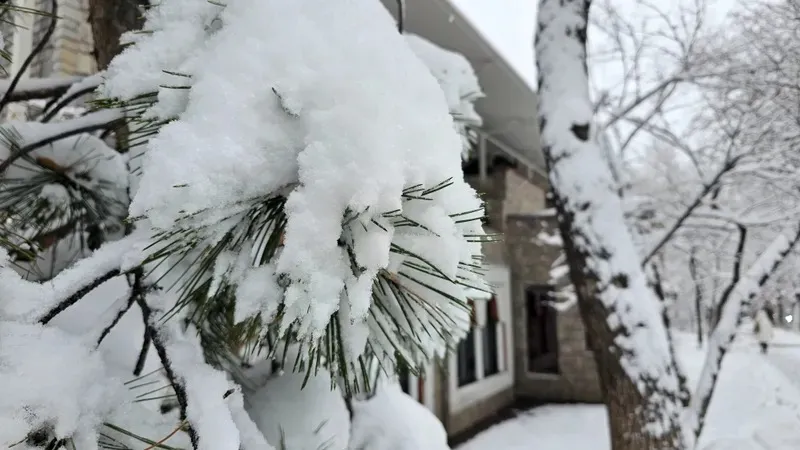 "Қар, тұман, аяз". Сейсенбіде еліміздің бірқатар өңірінде дауылды ескерту жарияланды