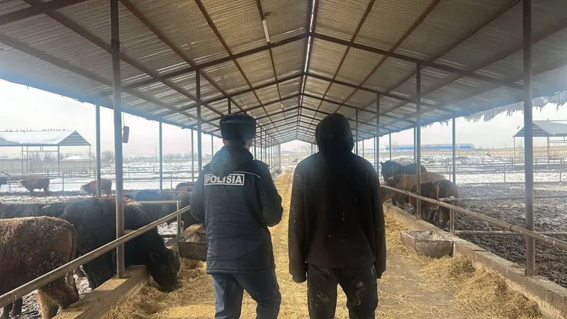 Шымкенте полиция 25 млн теңгенің мал ұрлығын әшкереледі