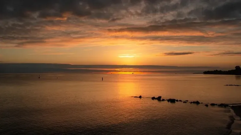 Қазақстанда Солтүстік Аралды толтырудың жолы табылды