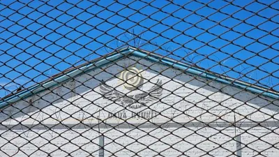 Миранда қағидаты: қандай жағдайда полицейдің әрекеті заңсыз деп танылады