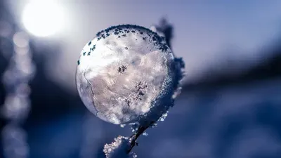 Аяз, боран, 27 қаңтар, ауа райы болжамы, Қазақстан, сурет - Zakon.kz жаңалық 26.01.2026 17:31